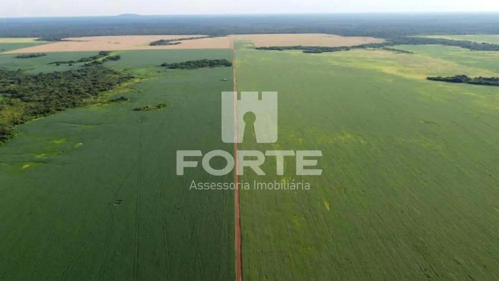 Fazenda, 4 hectares - Foto 11