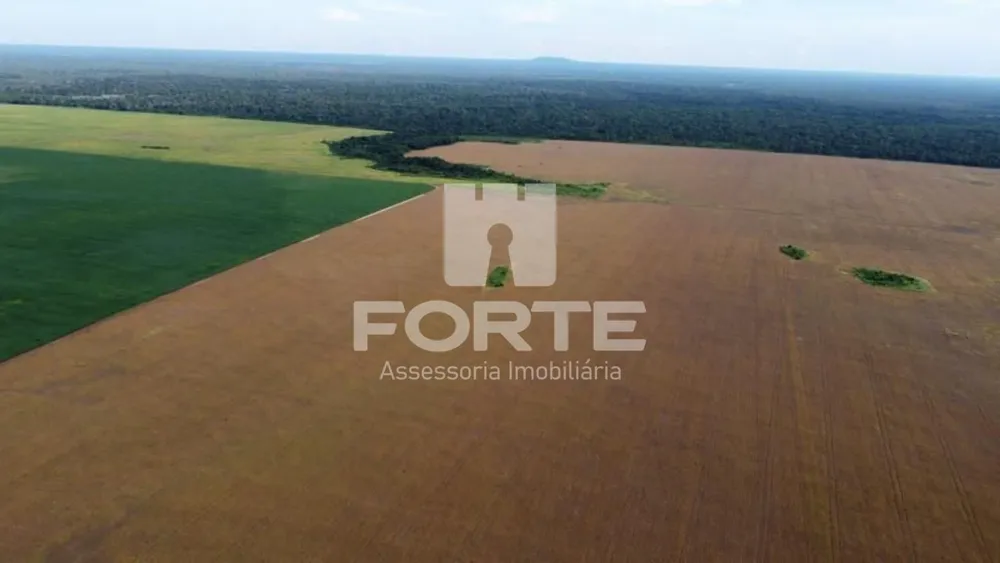 Fazenda, 4 hectares - Foto 9