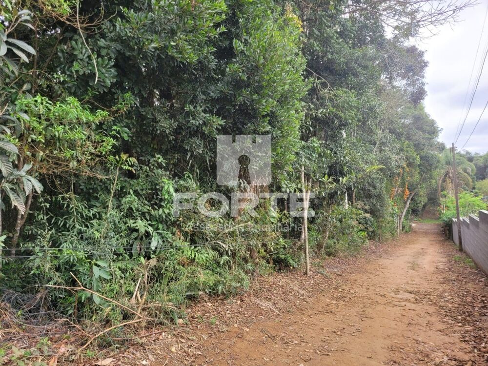 Sítio, 5 quartos, 11000 m² - Foto 3