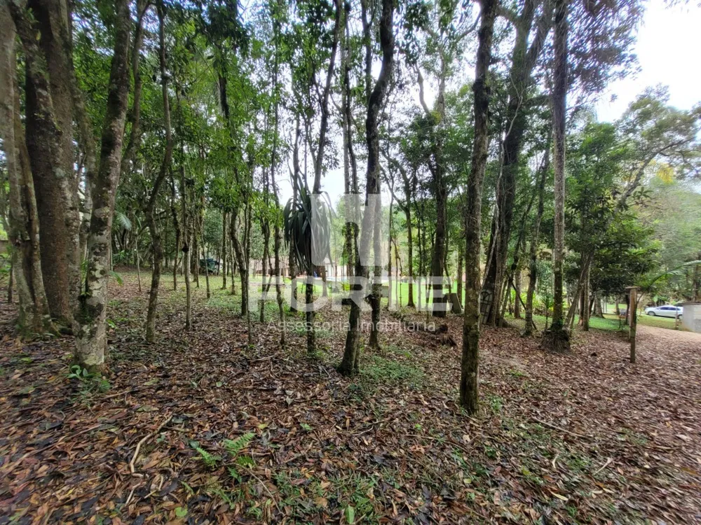 Sítio, 5 quartos, 11000 m² - Foto 11