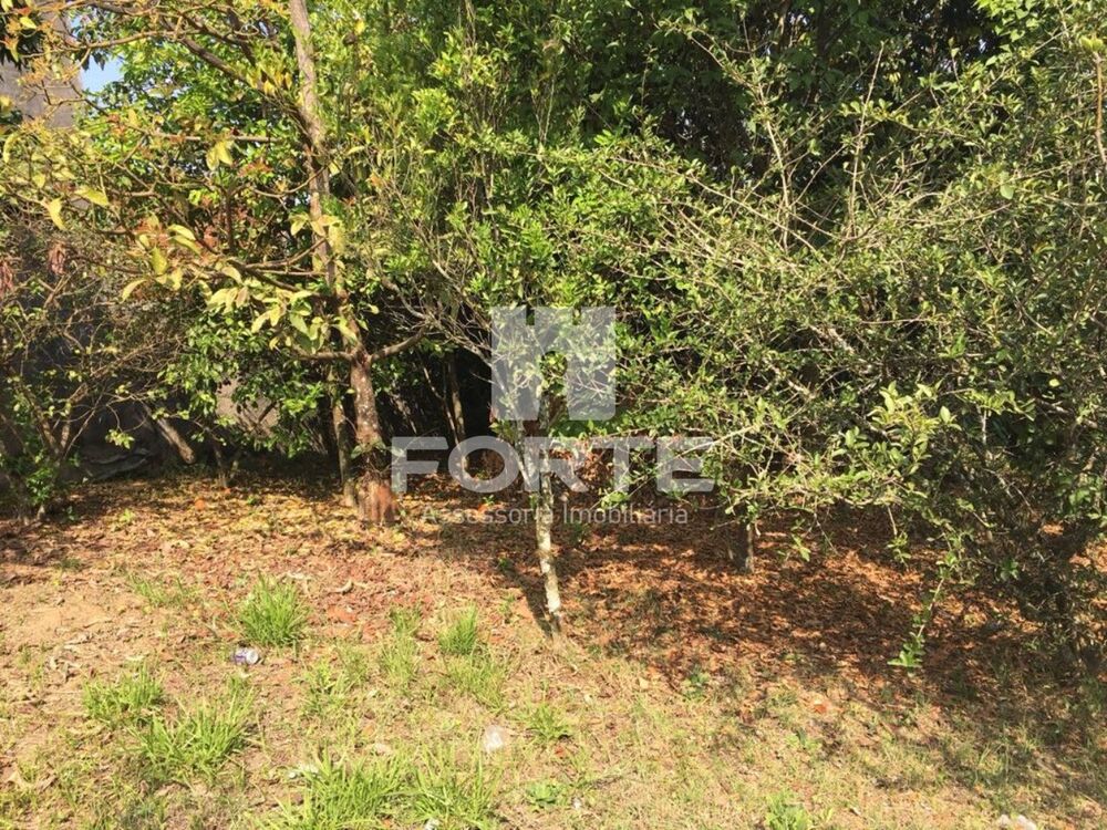 Terreno, 500 m² - Foto 7