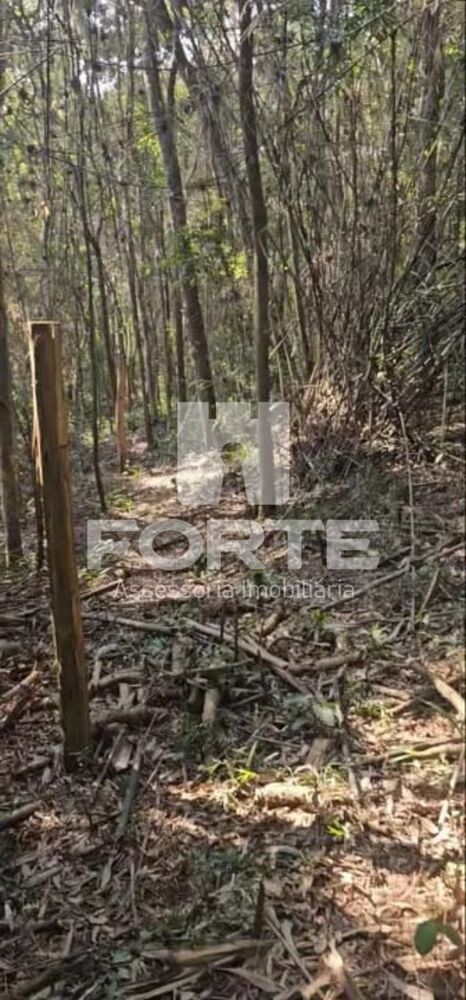 Chácara, 3 quartos - Foto 7