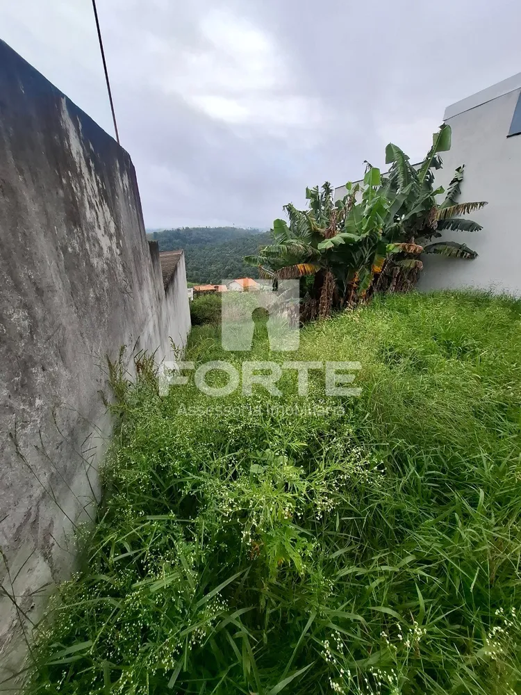 Terreno, 290 m² - Foto 2