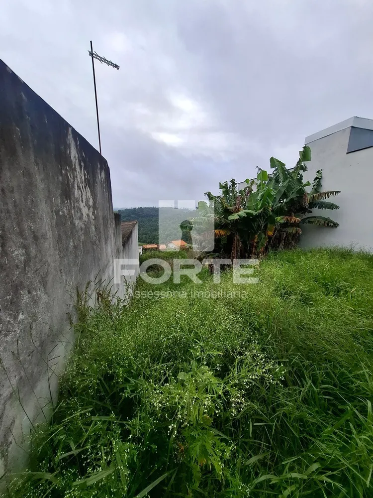 Terreno, 290 m² - Foto 4