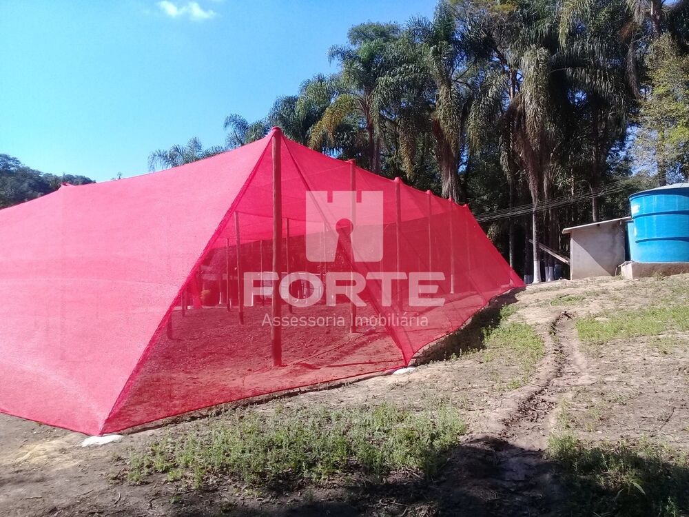 Sítio, 3 quartos, 2 hectares - Foto 17