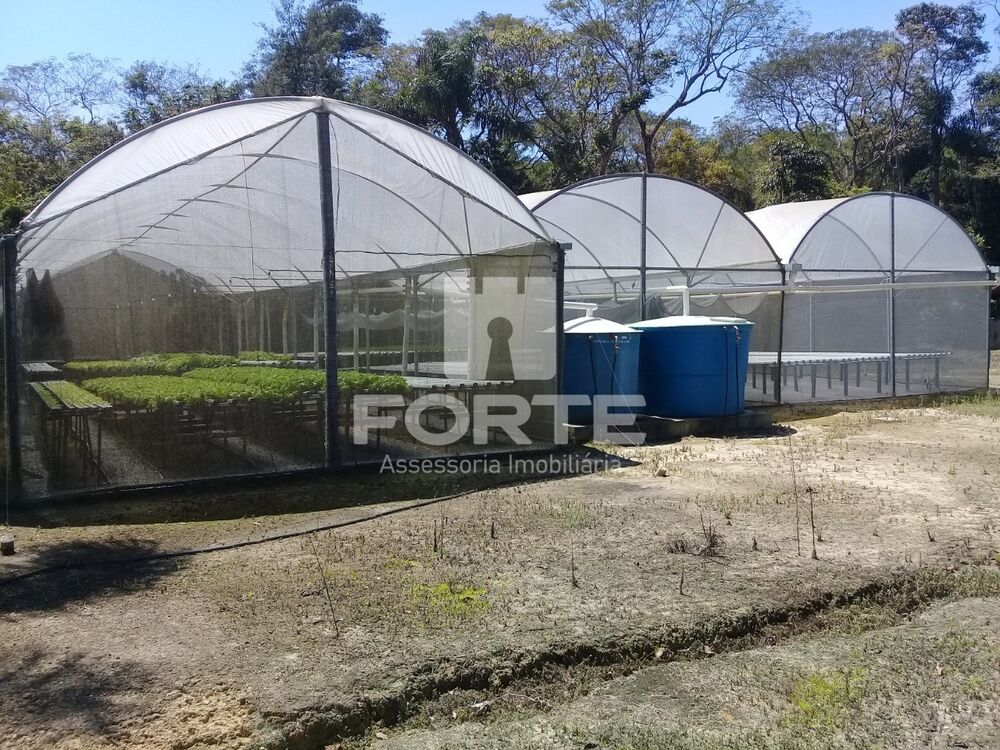 Sítio, 3 quartos, 2 hectares - Foto 7