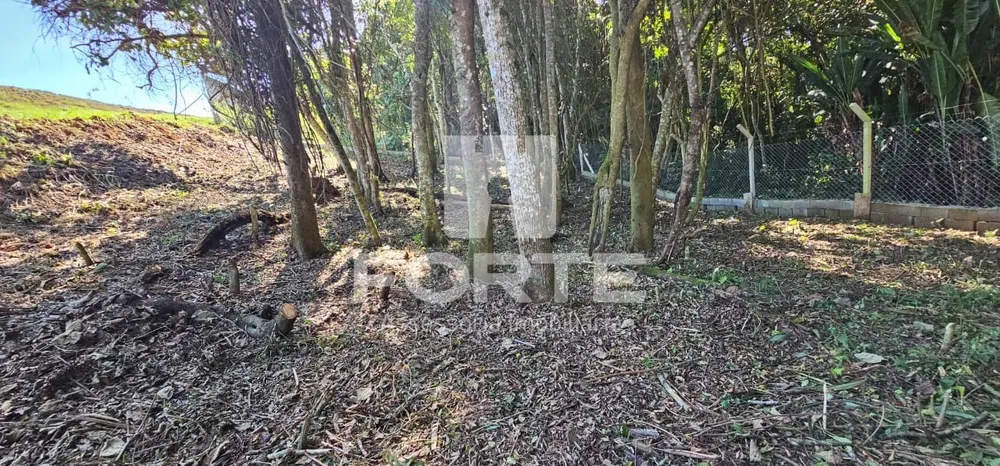 Chácara, 4 quartos, 3 hectares - Foto 14