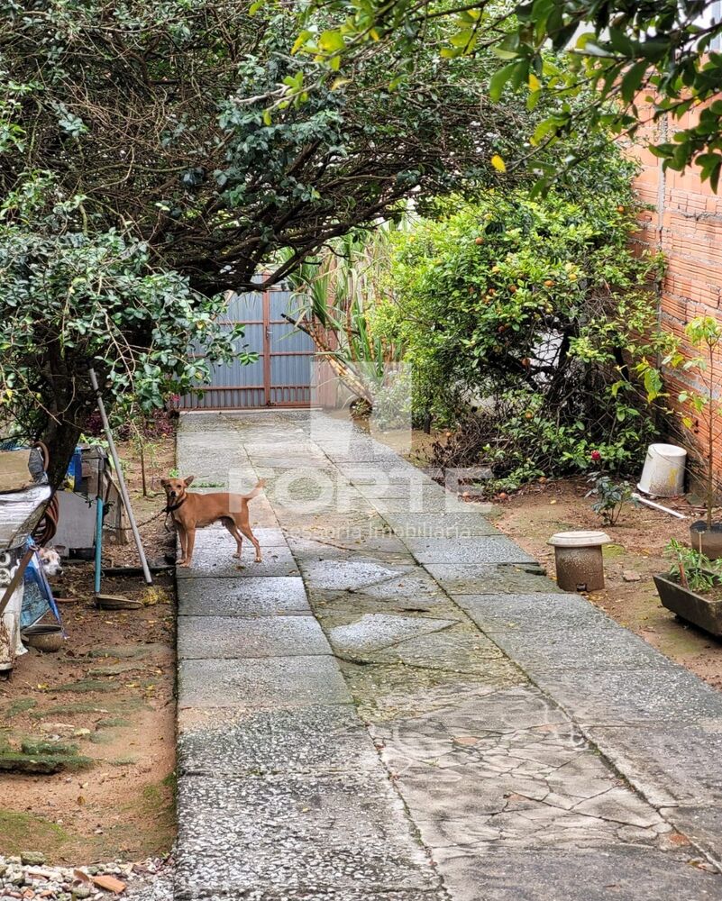 Casa, 3 quartos, 375 m² - Foto 4