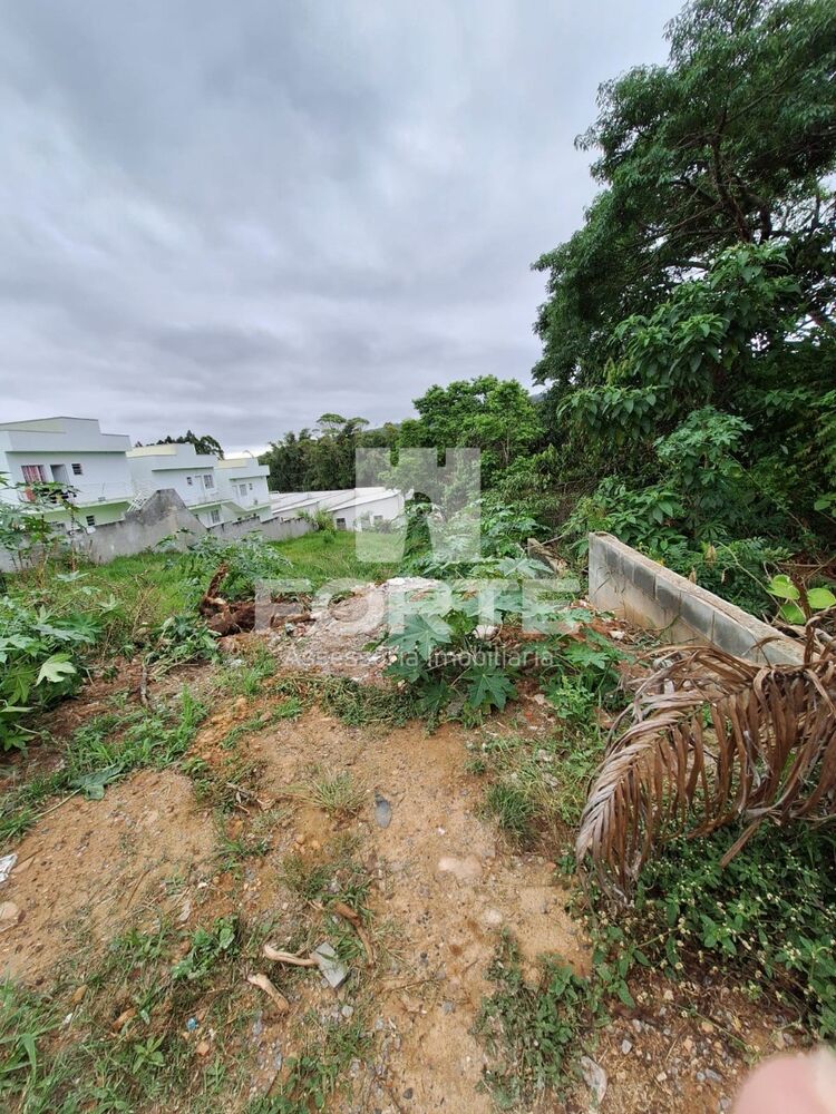 Terreno, 150 m² - Foto 5