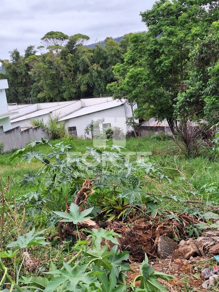 Terreno, 150 m² - Foto 4