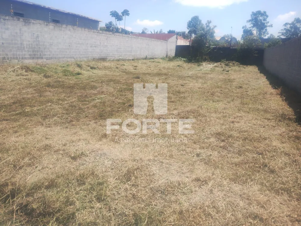 Terreno, 750 m² - Foto 6
