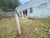 Casa, 3 quartos, 1000 m² - Foto 23