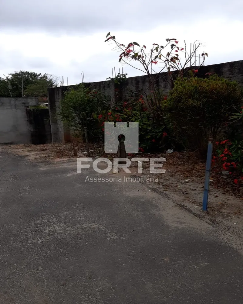 Casa, 2 quartos, 1000 m² - Foto 45