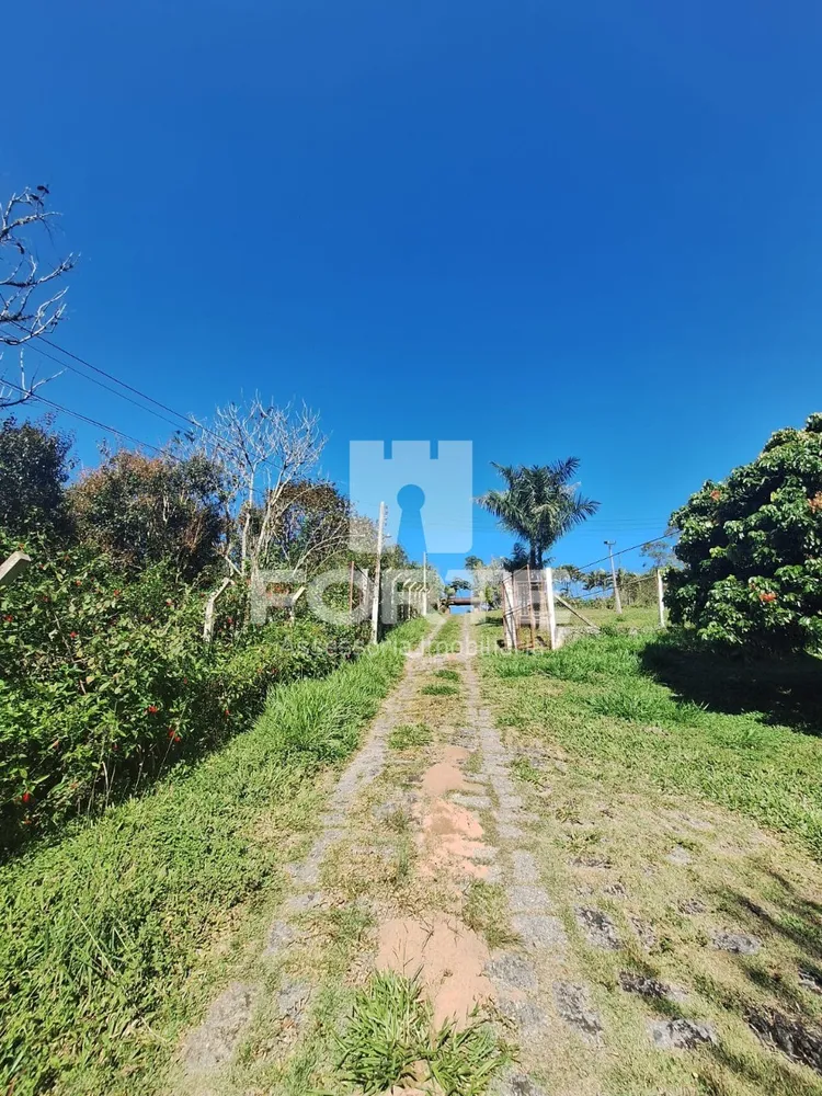 Chácara, 8 quartos, 2 hectares - Foto 58