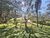 Chácara, 8 quartos, 2 hectares - Foto 16