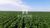 Fazenda-Sítio-Chácara, 582 m² - Foto 3