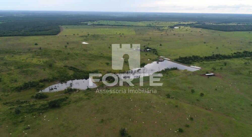 Fazenda, 1338 m² - Foto 9
