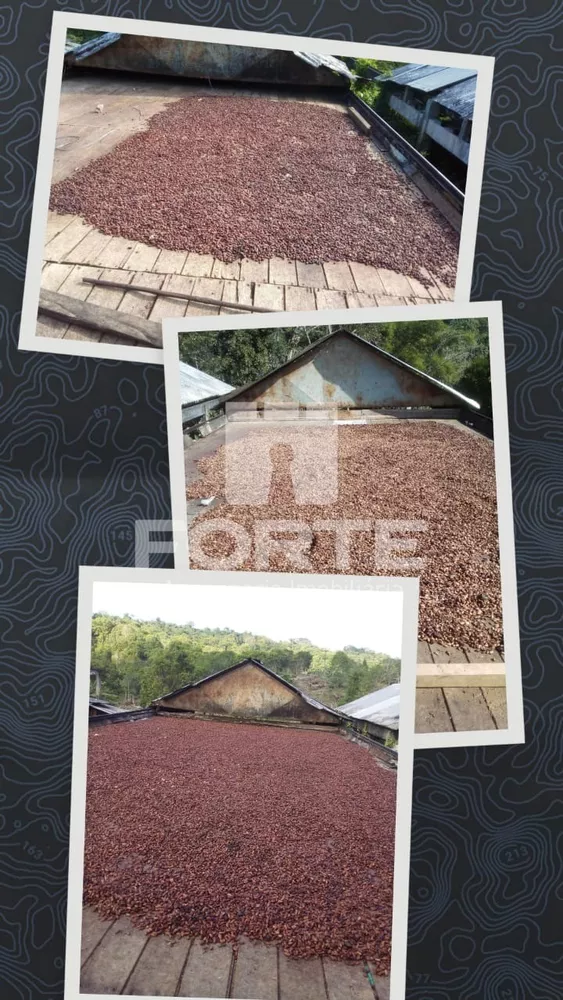 Fazenda, 6 quartos - Foto 11