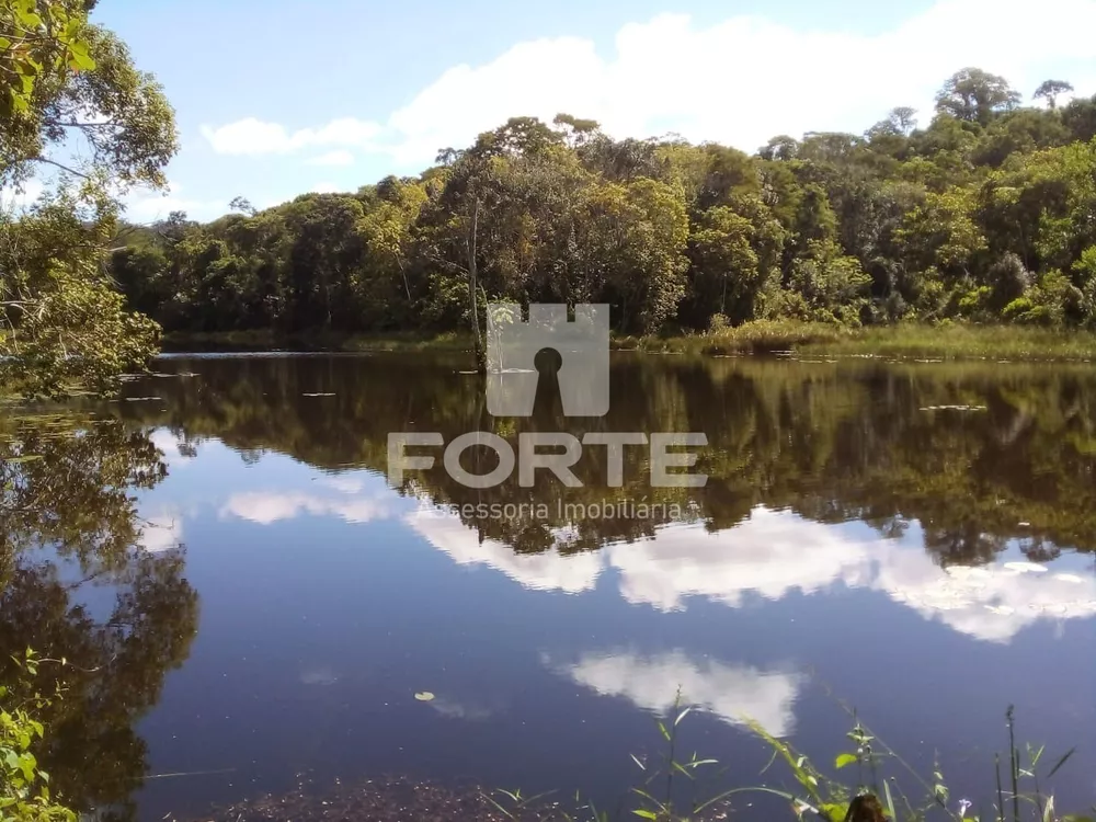 Fazenda, 6 quartos - Foto 1