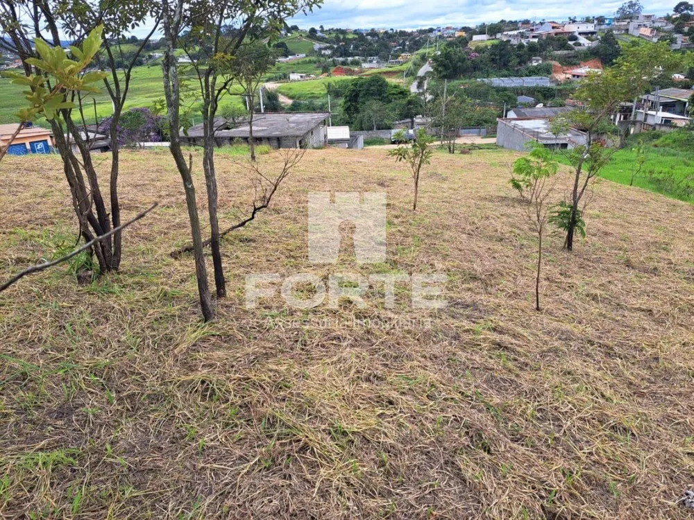 Terreno, 845 m² - Foto 6