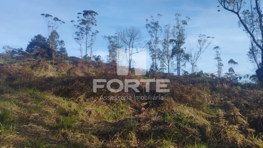 Terreno, 1000 m² - Foto 7