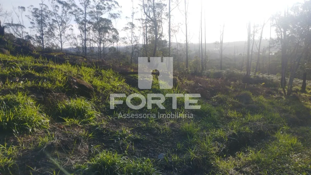 Terreno, 1000 m² - Foto 1