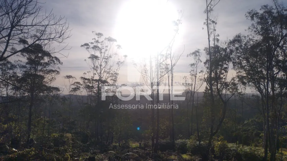 Terreno, 1000 m² - Foto 5