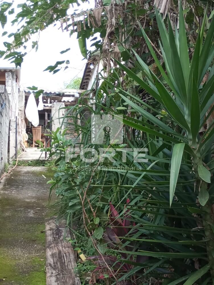Terreno, 600 m² - Foto 4
