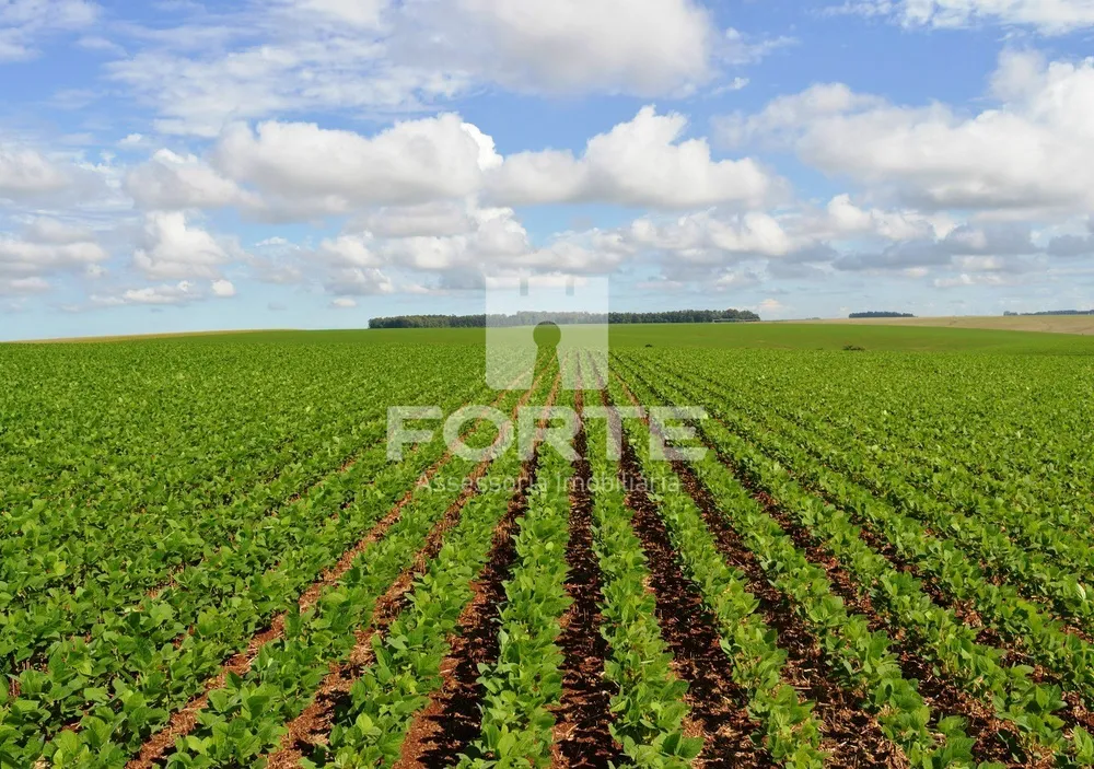 Fazenda, 4 quartos - Foto 6