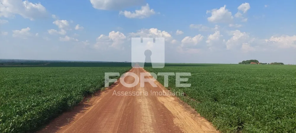Fazenda, 4 quartos - Foto 3