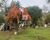 Terreno, 800 m² - Foto 1