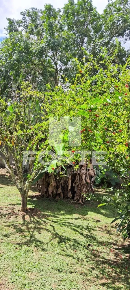Chácara, 4 quartos - Foto 6