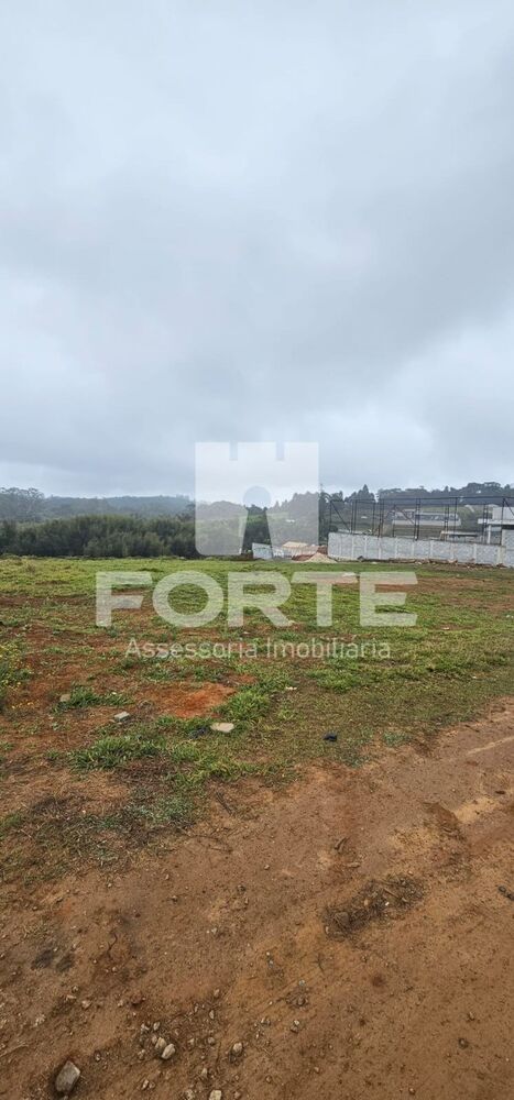 Terreno, 1000 m² - Foto 6
