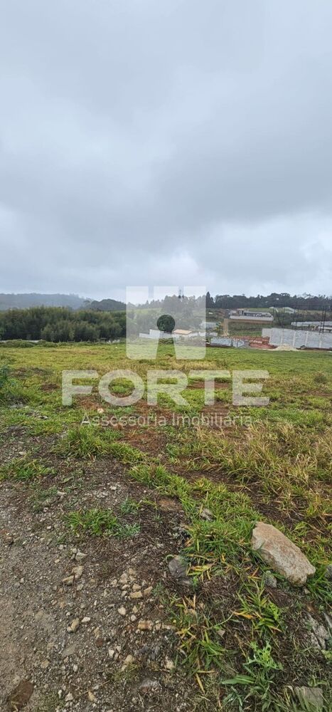 Terreno, 1000 m² - Foto 3