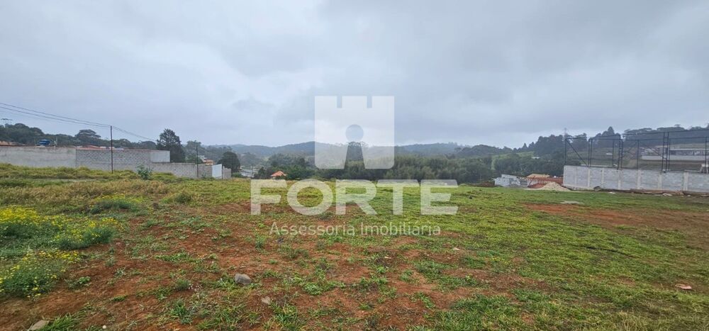 Terreno, 1000 m² - Foto 7