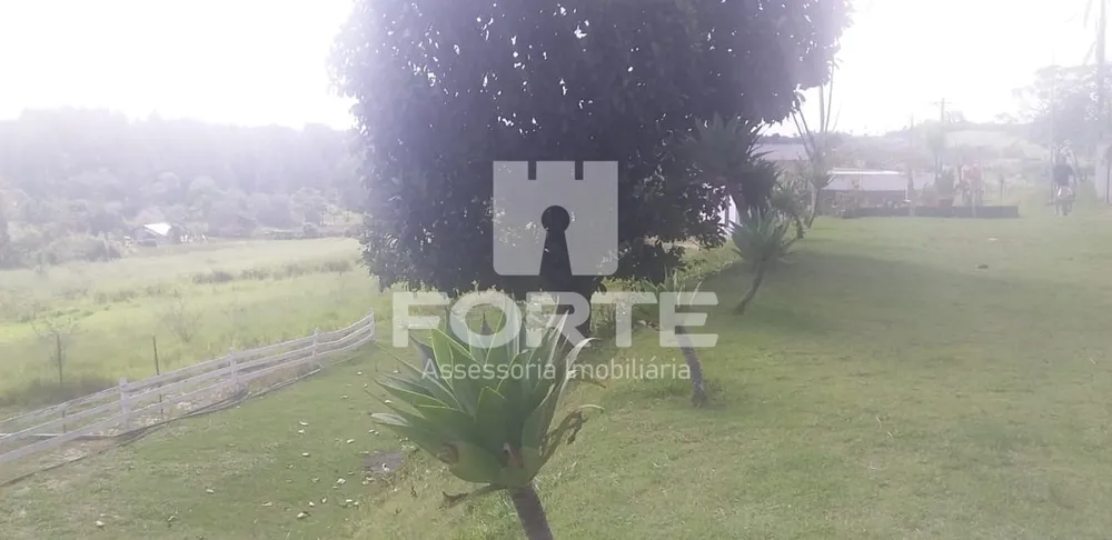 Sítio, 8 quartos, 4 hectares - Foto 12