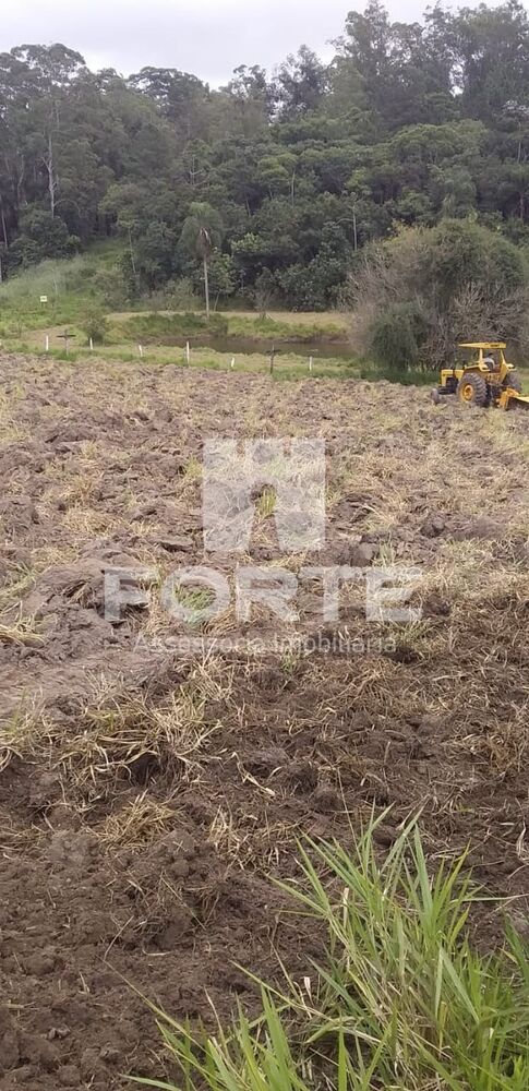 Sítio, 8 quartos, 4 hectares - Foto 1