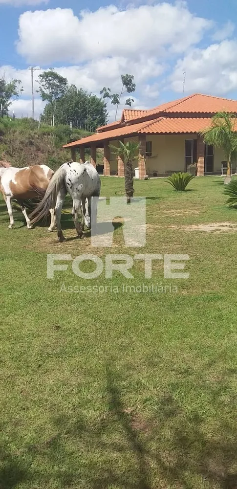 Sítio, 8 quartos, 4 hectares - Foto 3