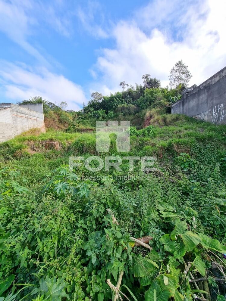 Terreno, 500 m² - Foto 4