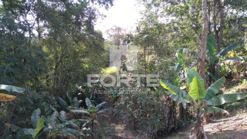 Chácara, 2 quartos - Foto 6