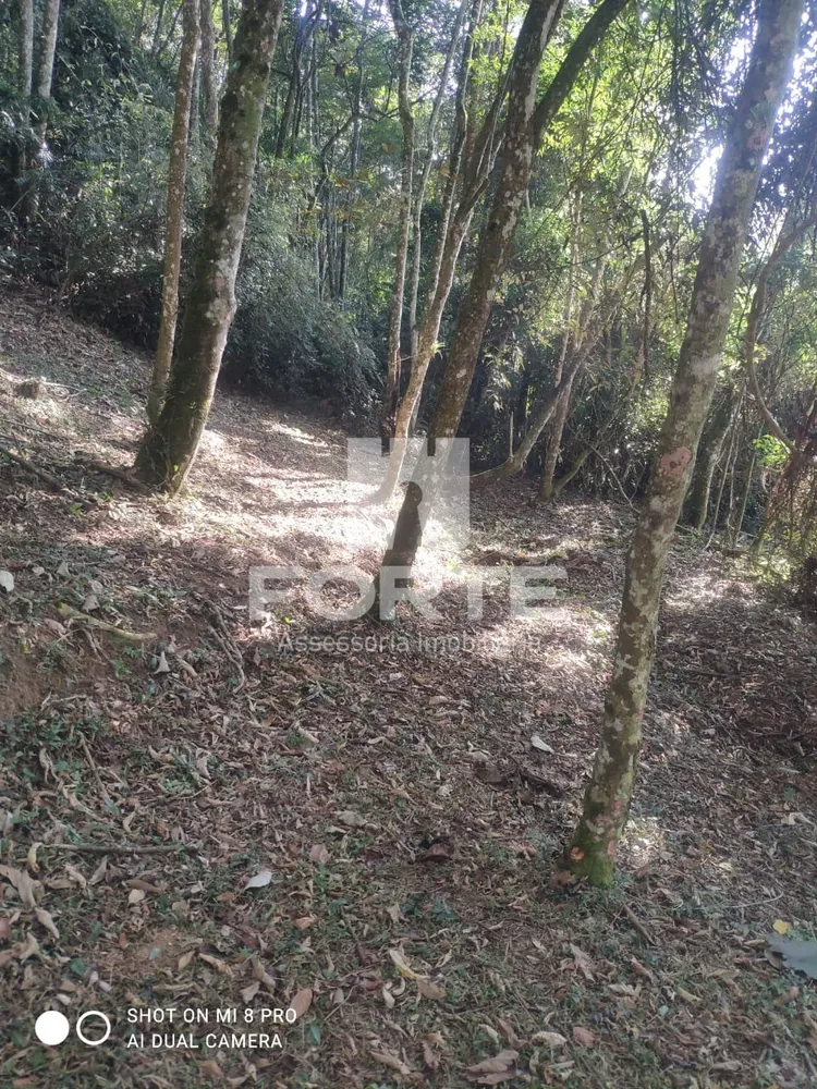 Sítio, 1200 m² - Foto 7