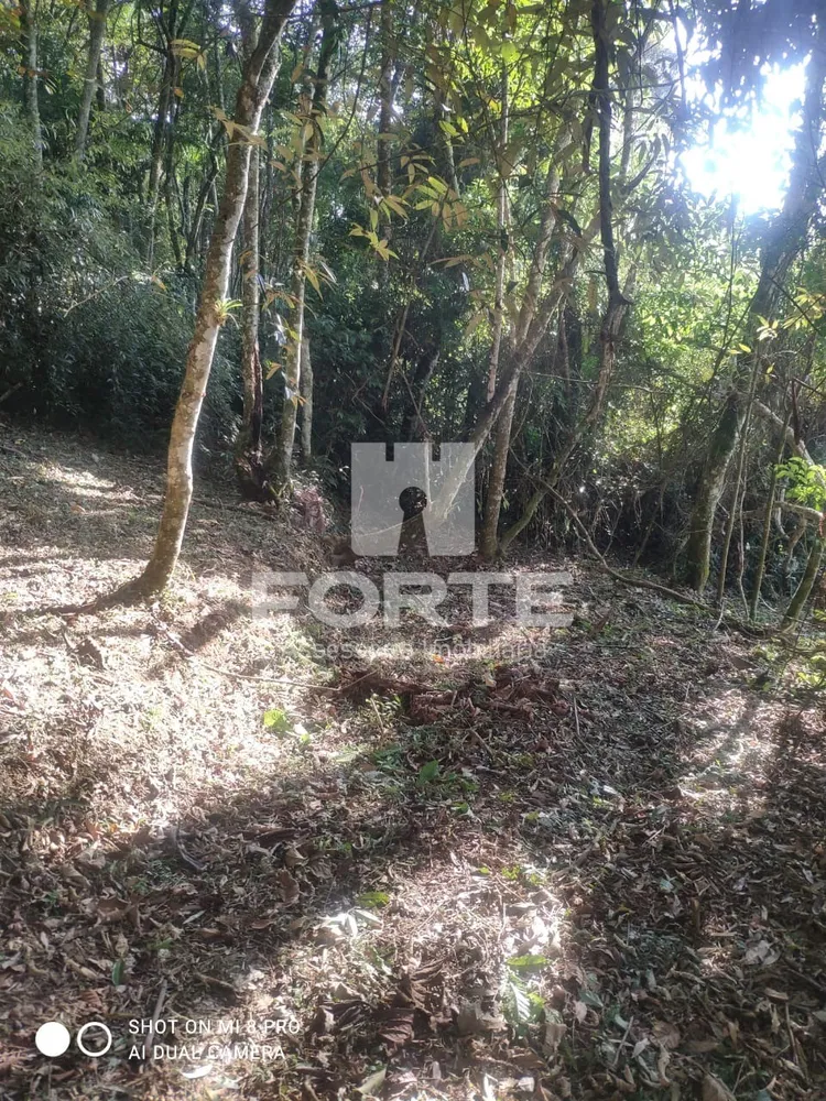 Sítio, 1200 m² - Foto 5