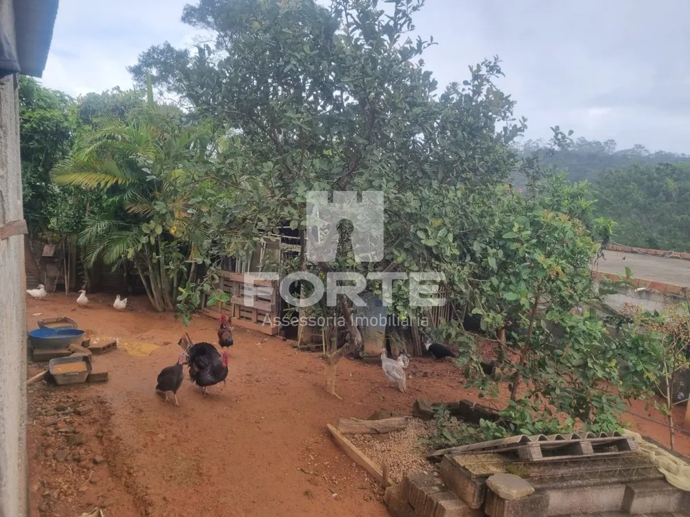 Chácara, 3 quartos, 1000 m² - Foto 4