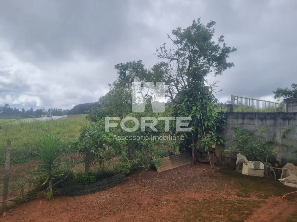 Chácara, 3 quartos, 1000 m² - Foto 2