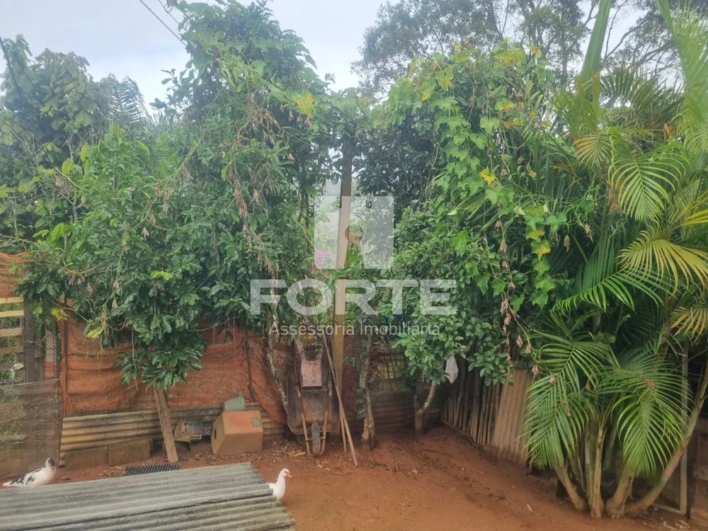Chácara, 3 quartos, 1000 m² - Foto 12