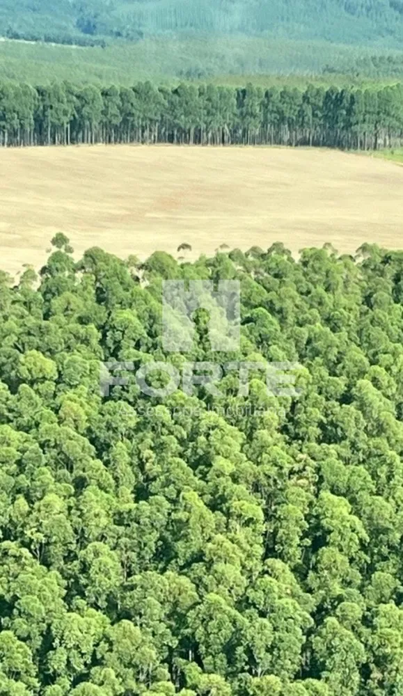 Fazenda, 1722 m² - Foto 7