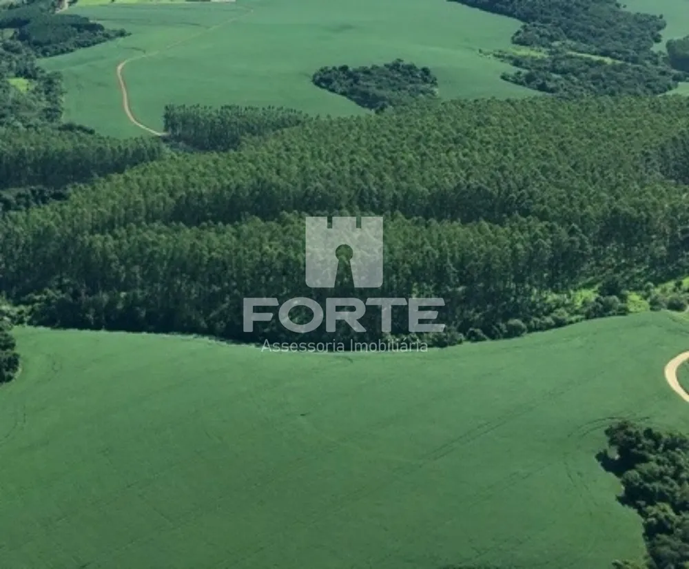 Fazenda, 1722 m² - Foto 10