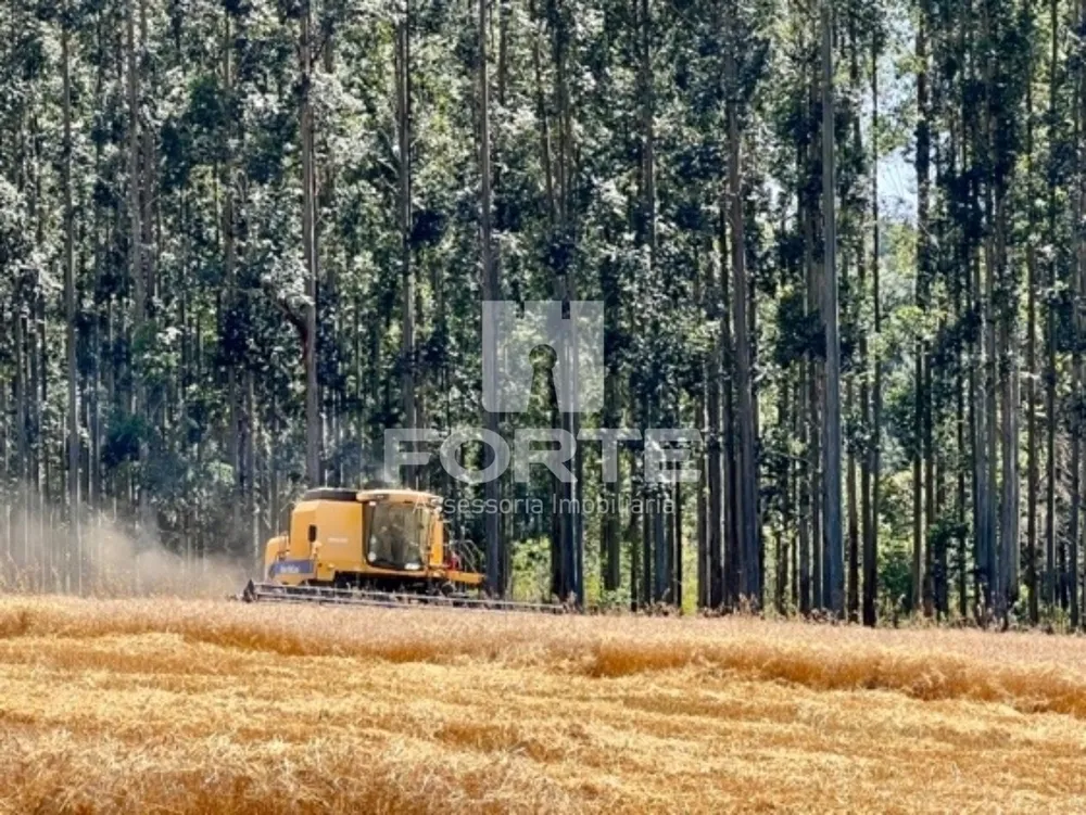 Fazenda, 1722 m² - Foto 8