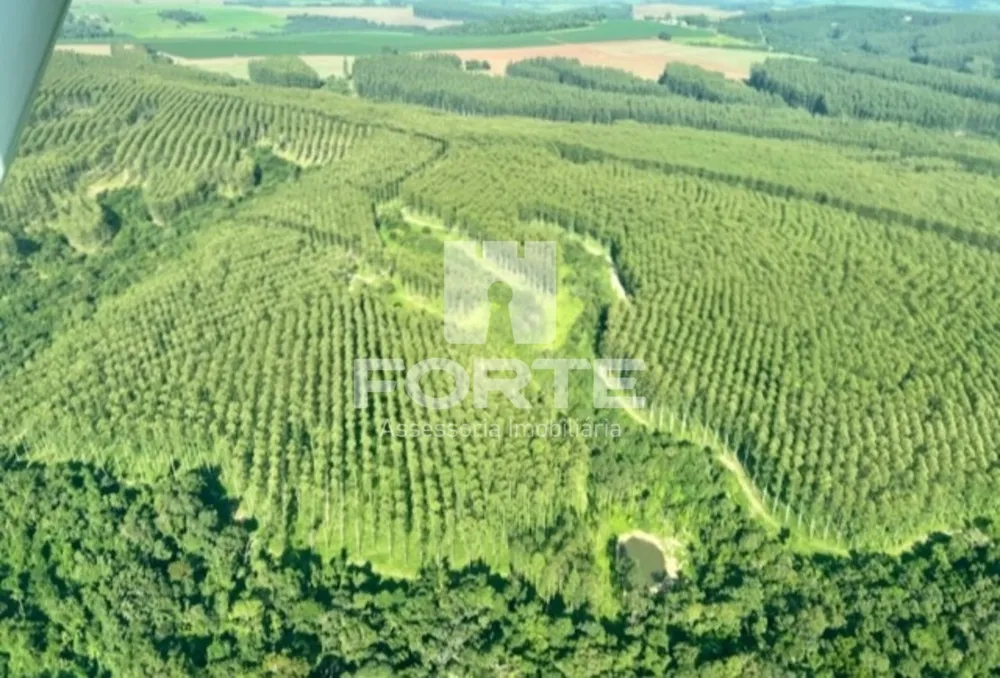 Fazenda, 1722 m² - Foto 12