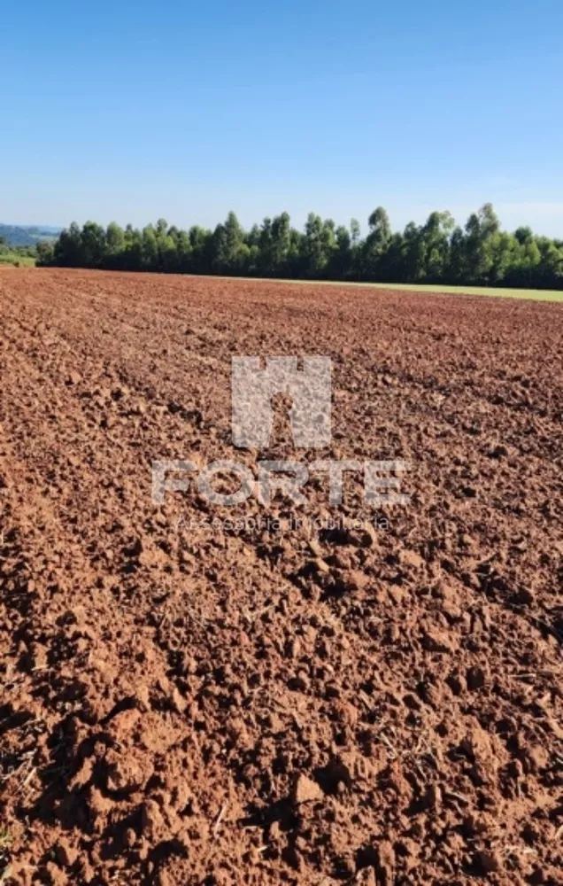 Fazenda, 1722 m² - Foto 4